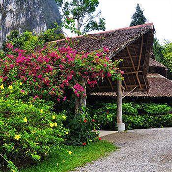 The Cliff & River Jungle Hotel Phanom