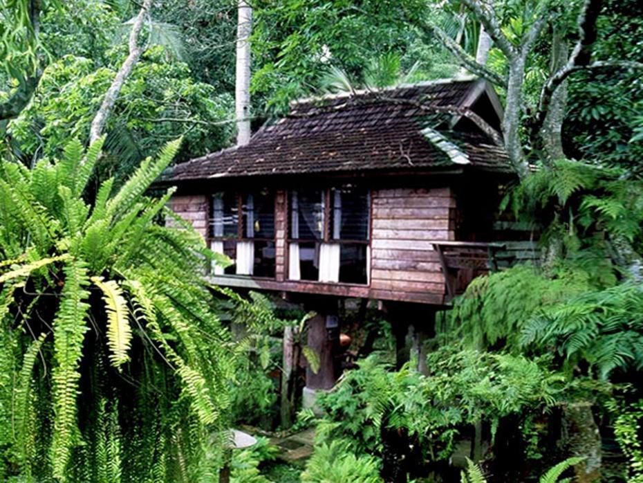 Fern Paradise Resort