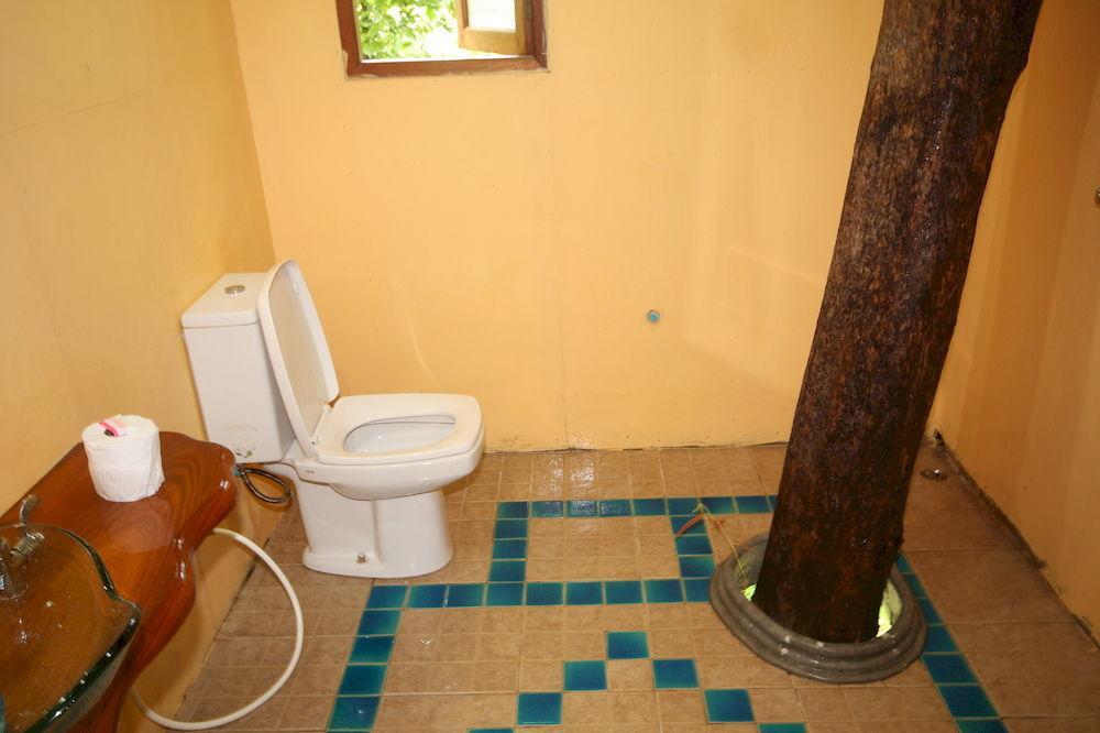 Baan Khao Sok Holiday park *