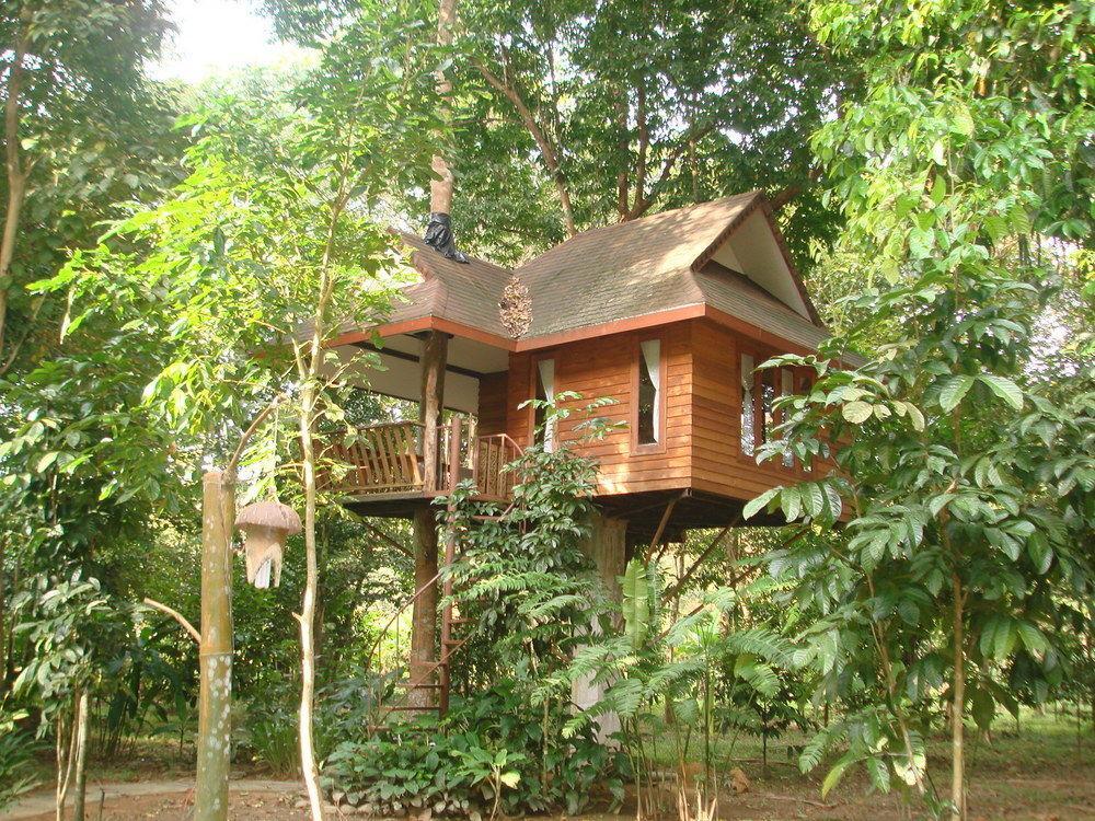 Baan Khao Sok Holiday park *