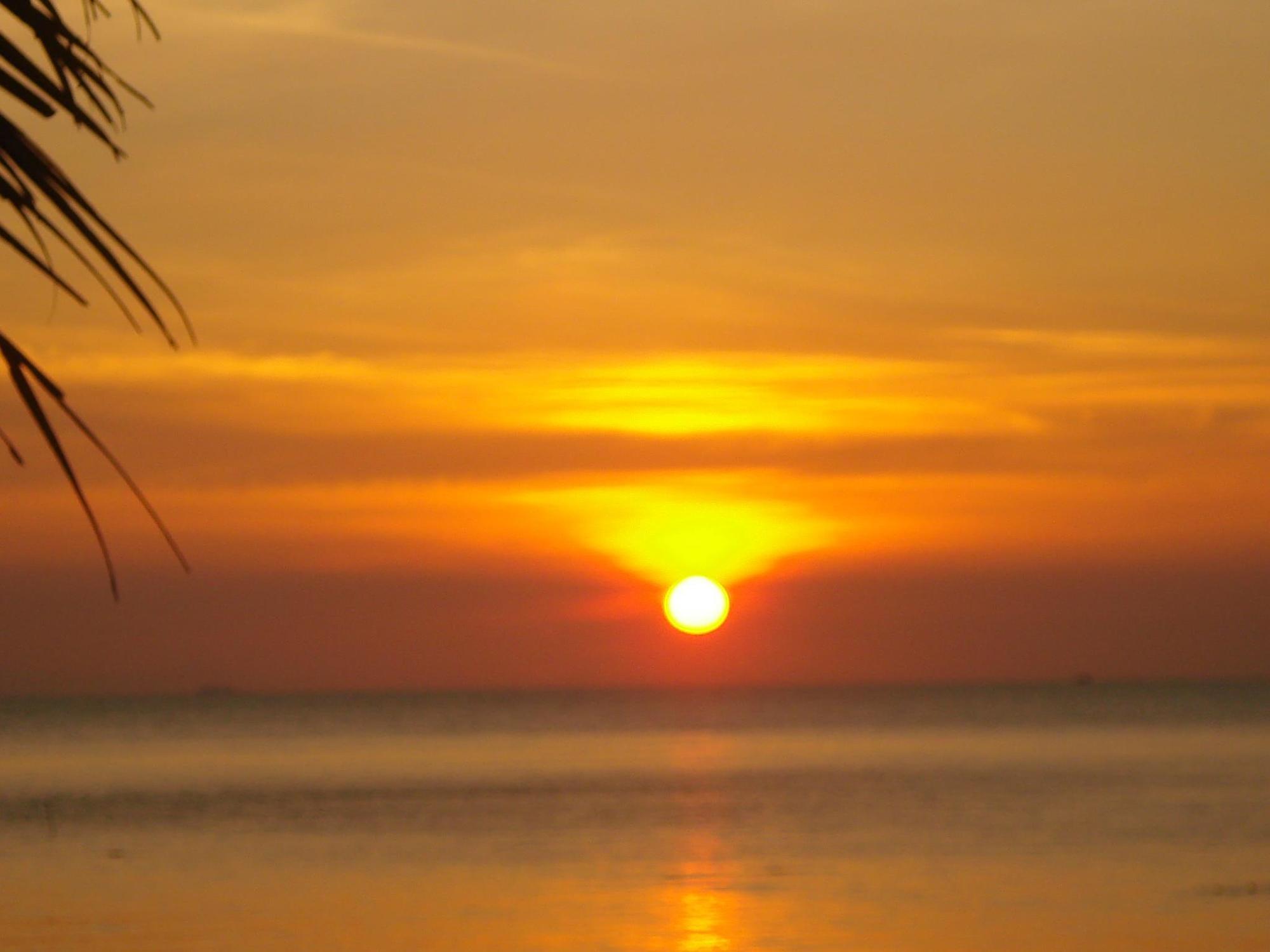 Tropicoco Koh Phangan Hotel