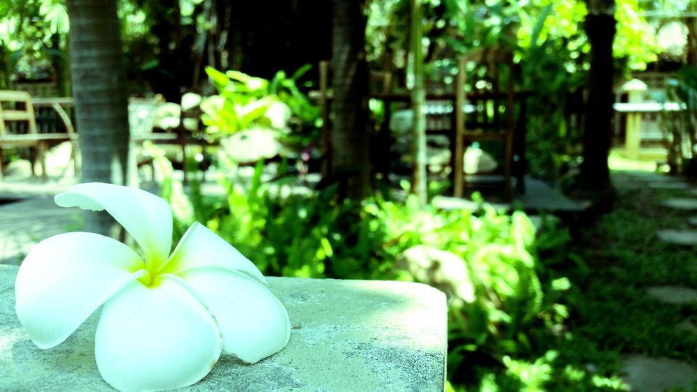 Rim Tara Boutique Resort 3*