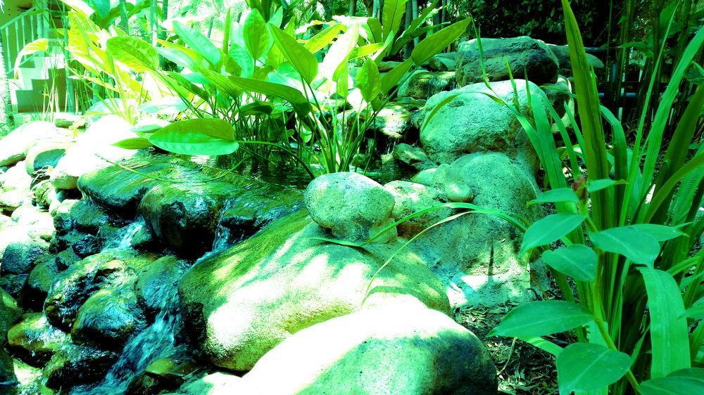 Rim Tara Boutique Resort