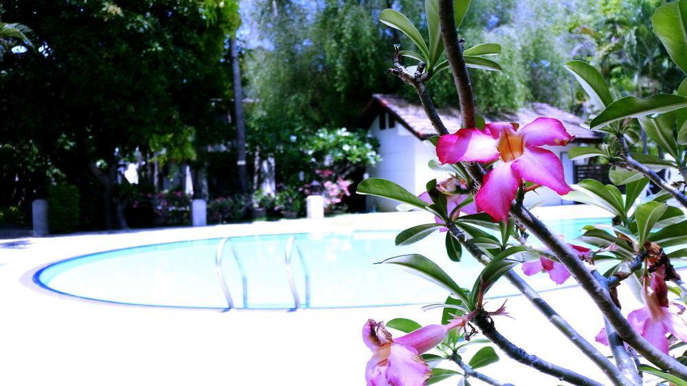 Rim Tara Boutique 3*