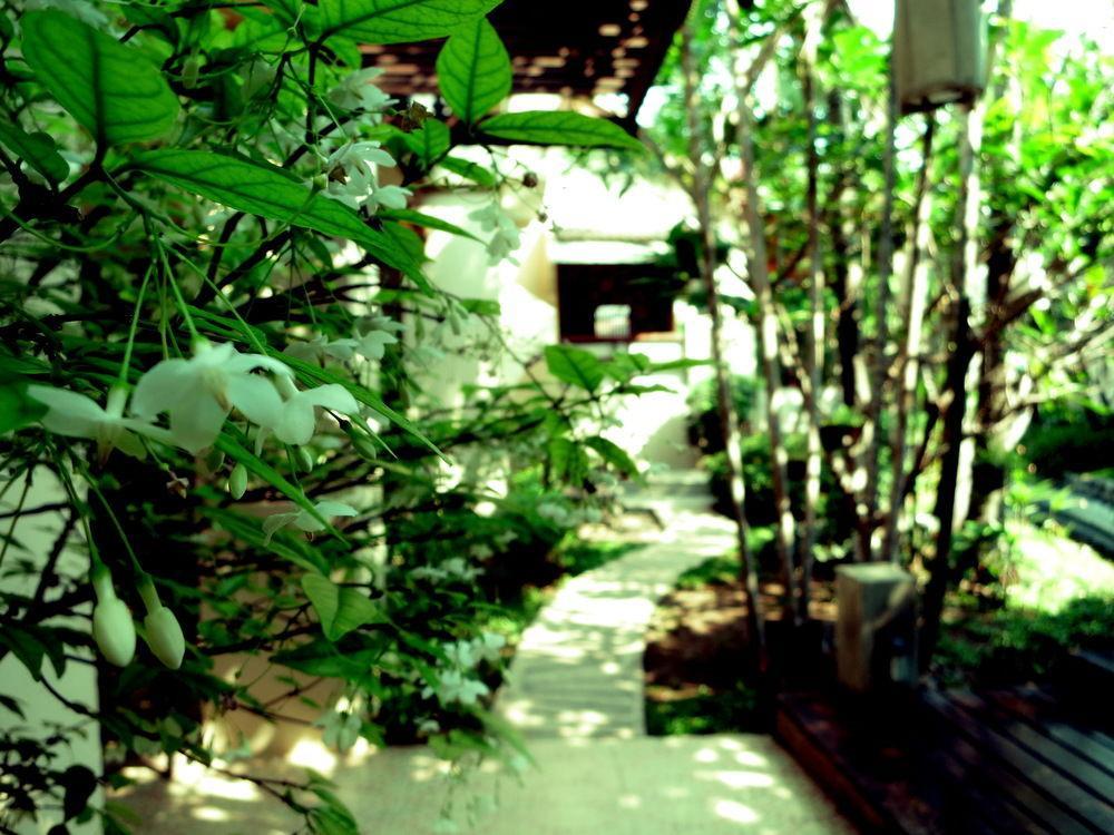 Rim Tara Boutique Resort Chiang Mai