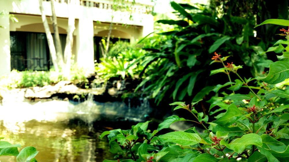 Rim Tara Boutique Resort 3*
