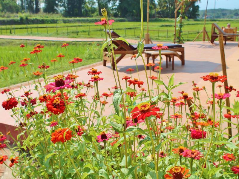 Country Retreat 3*