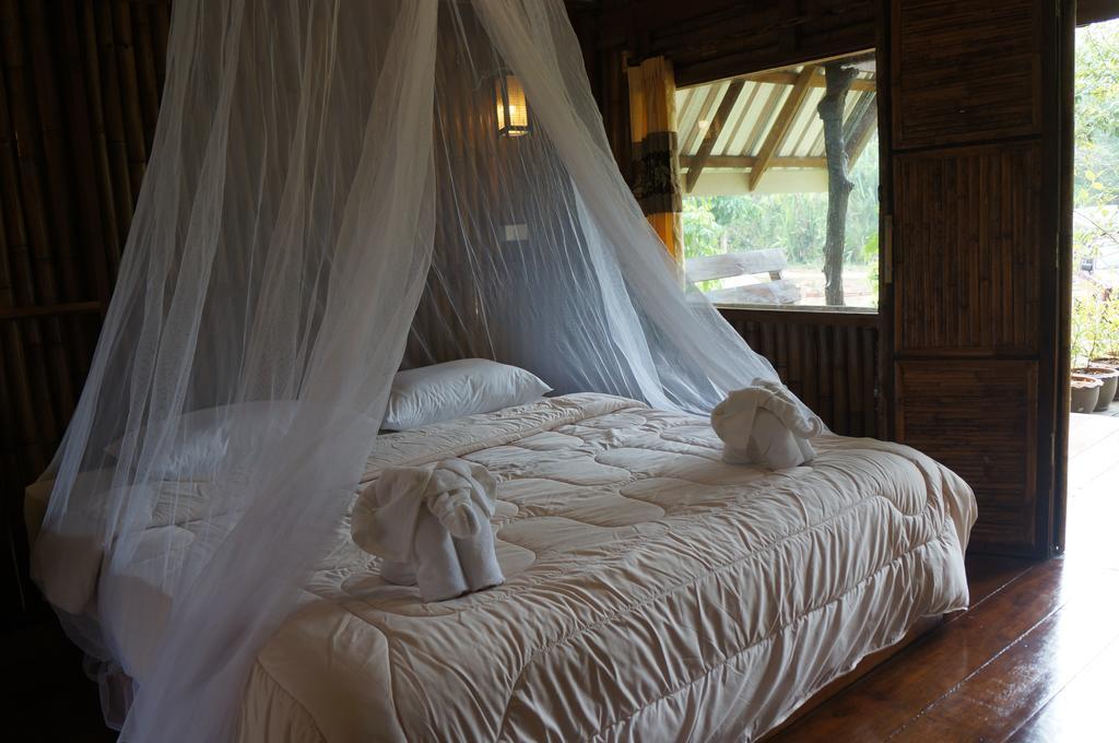 Khao Sok Jungle