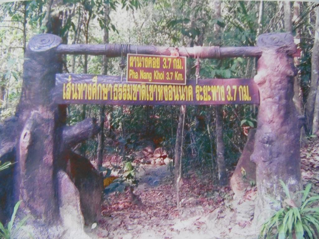 Hotel Phu Tubkaek View House *