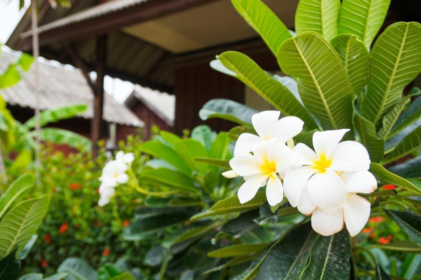 Weekender Lamai Beach (Koh Samui)