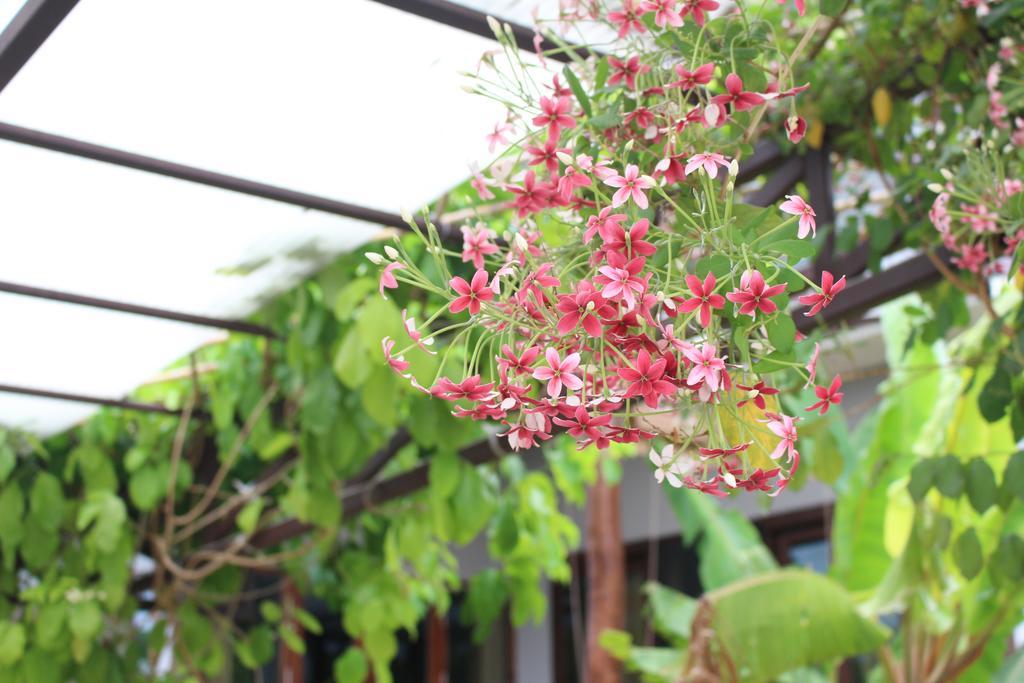 Holiday home Phatong