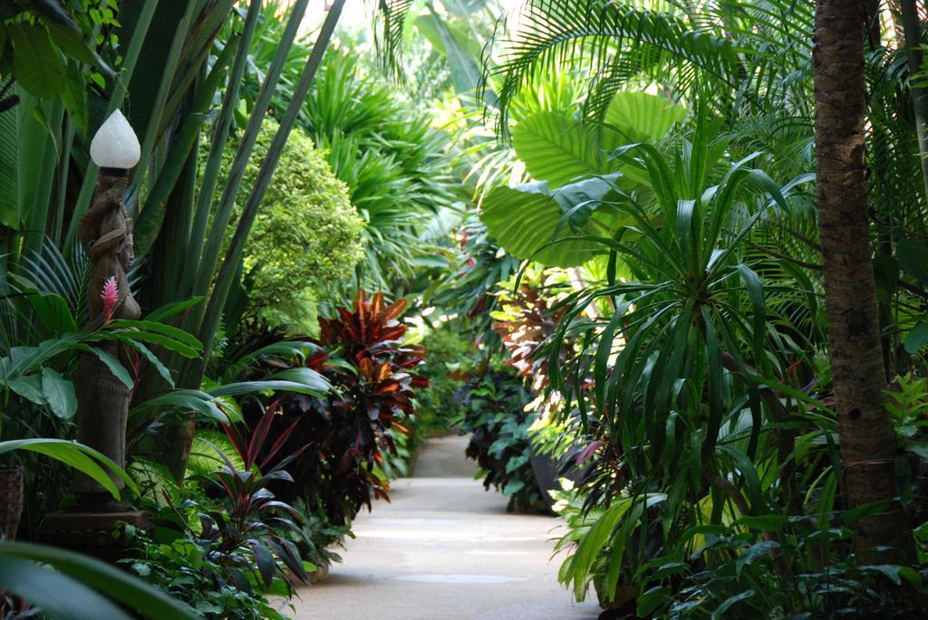 White House Resort Koh Samui