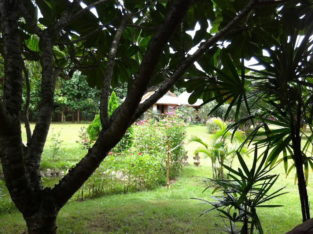 Orange Grove Resort Resort Pai