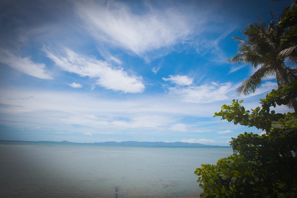 Resort The Blue Parrot
