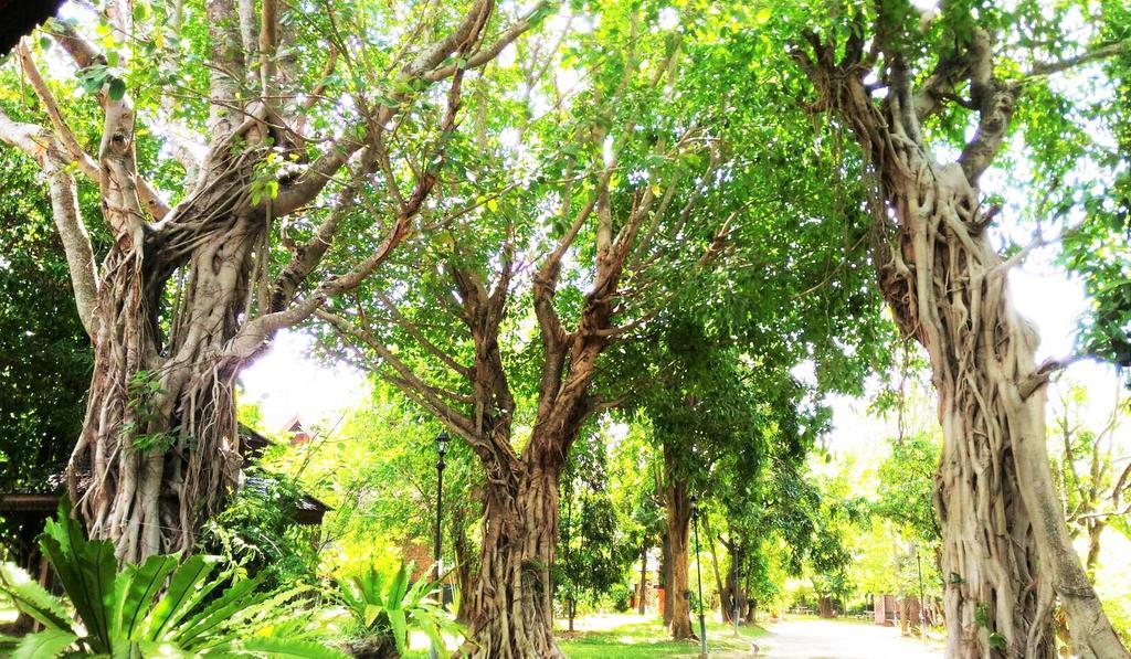 Boontarn Sanctuary Homestay Chiang Mai