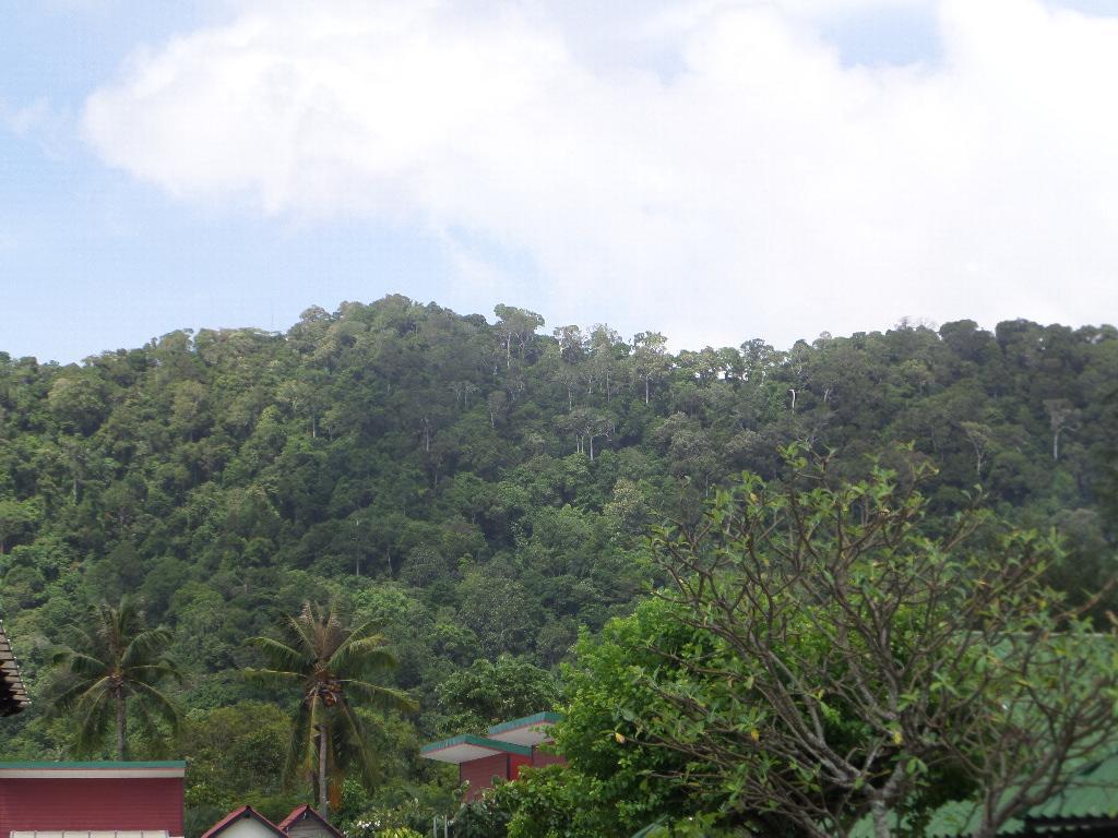 Guest house Lanta Triple Novel