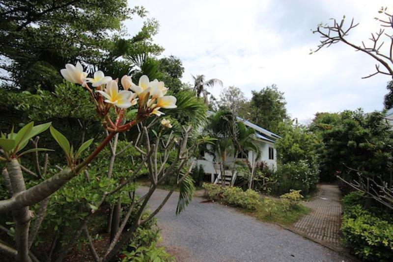 Hotel Lemon Tree 2*