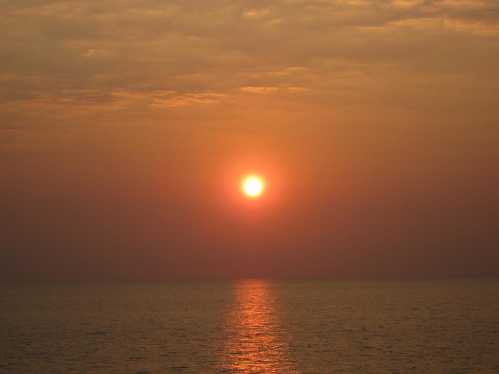 Island 2*