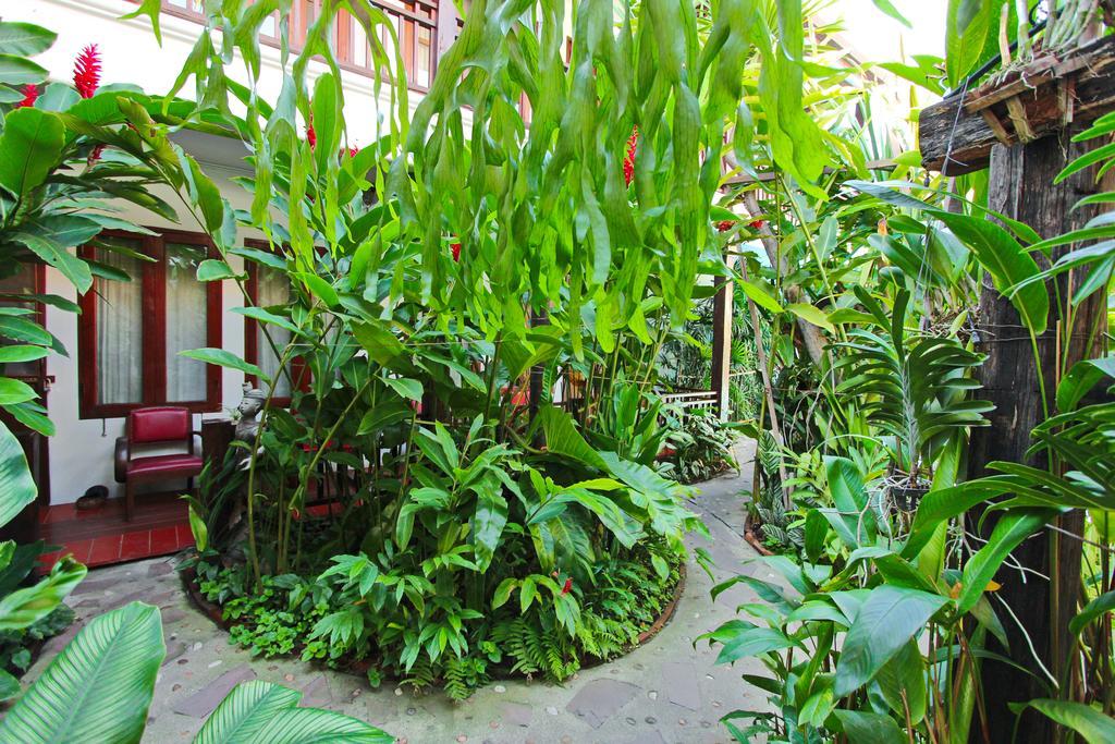 Shewe Wana Boutique (adults Only) Resort Chiang Mai