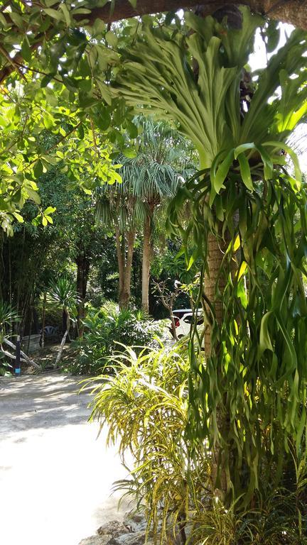 Resort Phu Panwa 3*