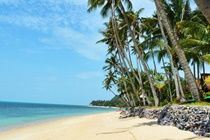 Green Coconut Village A1