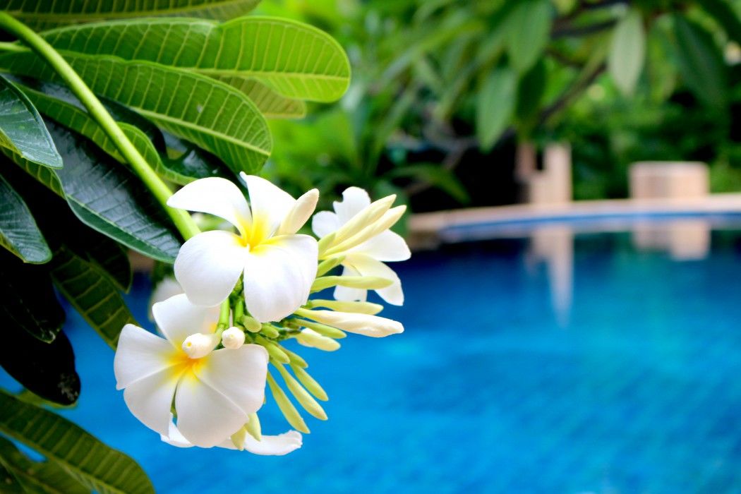 Buri Beach Hotel