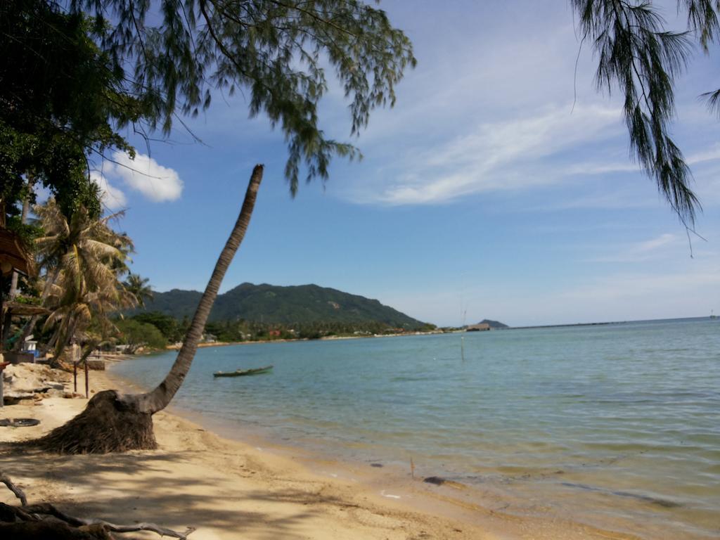 Resort Abc 3*
