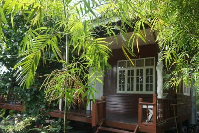 Angel Hut