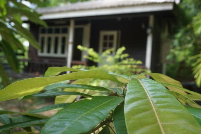 Angel Hut Resort *