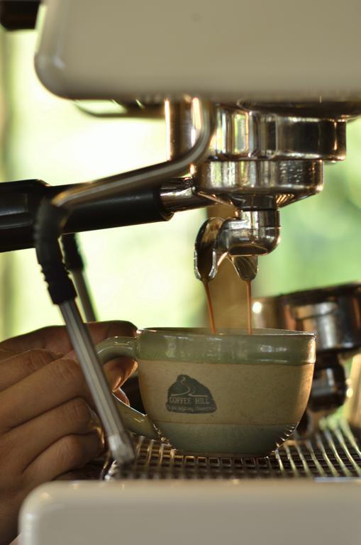 32 Coffee Hill & Resort