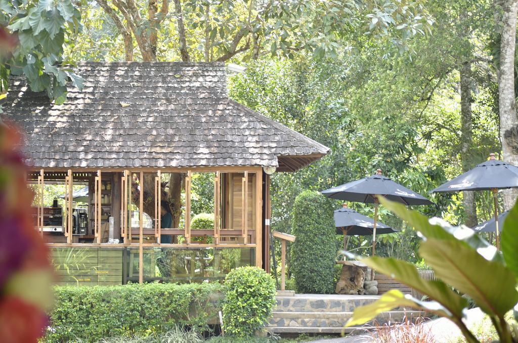 32 Coffee Hill & 4* Chiang Mai