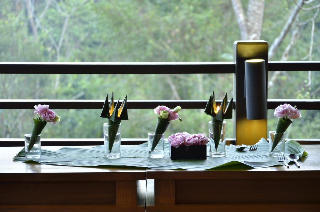 32 Coffee Hill & Chiang Mai