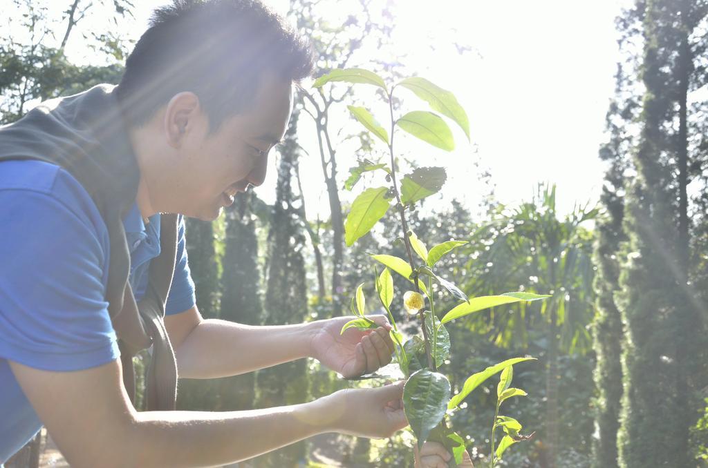 32 Coffee Hill & Resort Chiang Mai