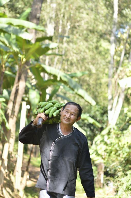 32 Coffee Hill & Resort