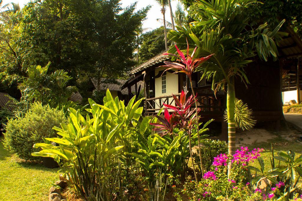 Shiralea Backpackers 2*