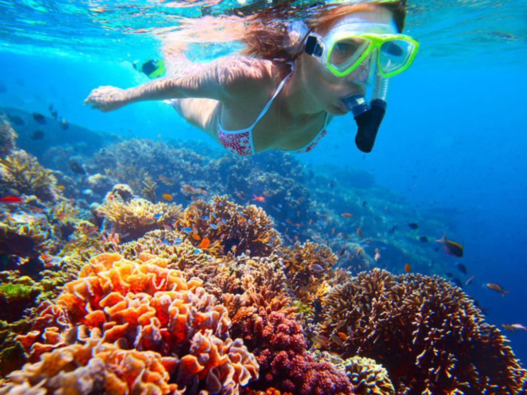 Shiralea Backpackers Haad Yao