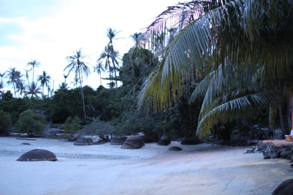 Beck's Resort