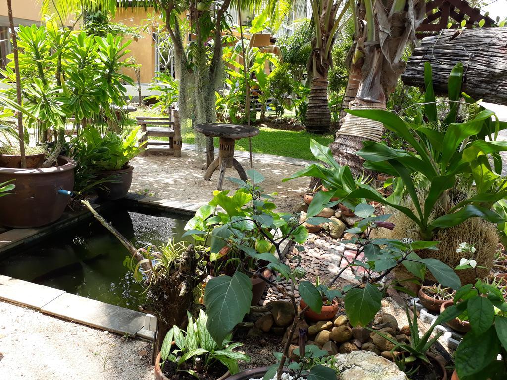 Guest house Halfmoon House *