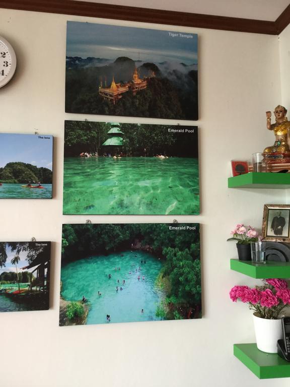 Pro Chill Guest house