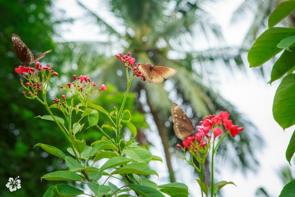 Resort Seaflower 3*