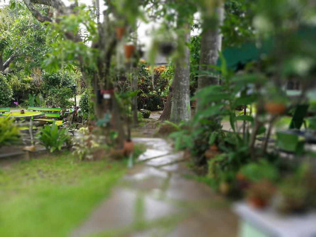 Hotel Baan Bua Chiang Rai