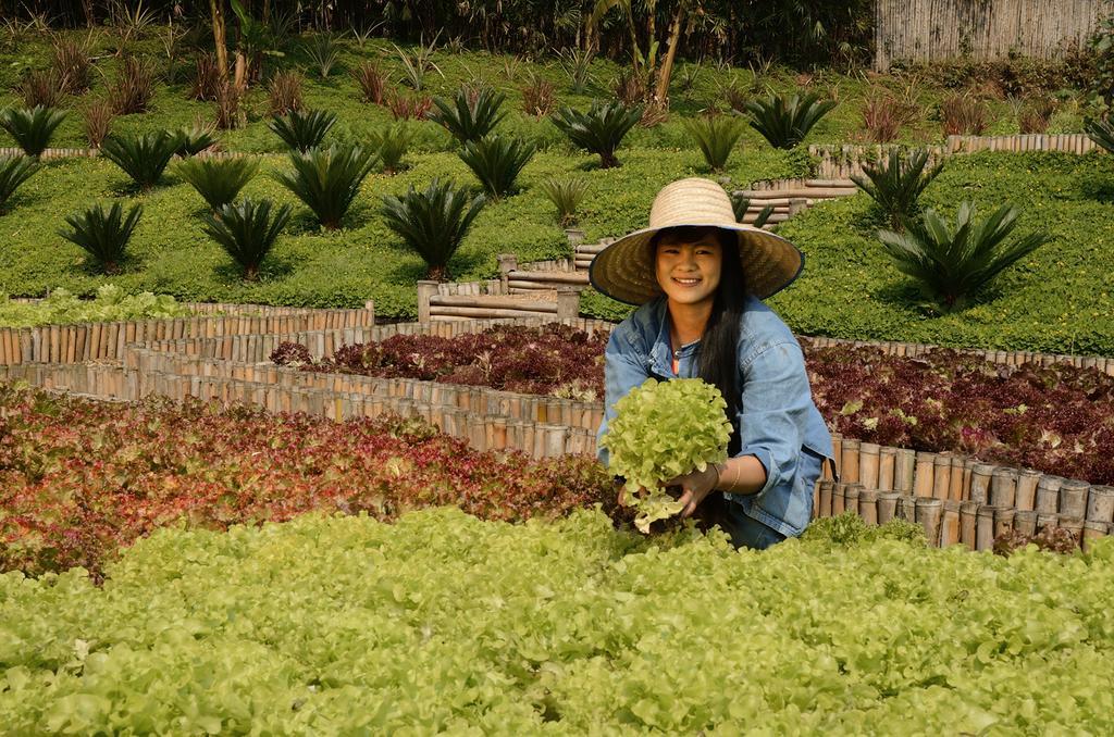 Resort Pa Sak Tong Chiang Rai