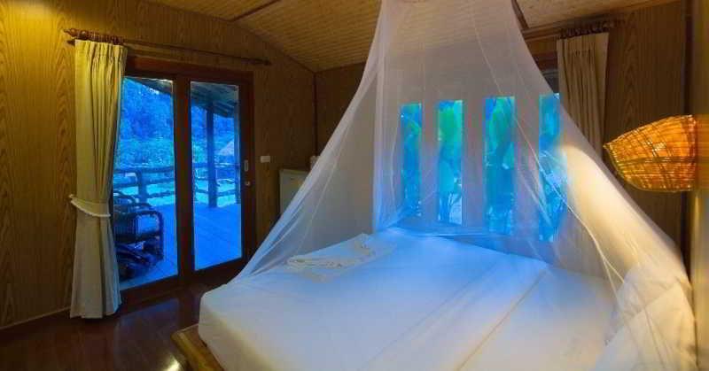 Cliff And River Jungle Hotel Surat Thani