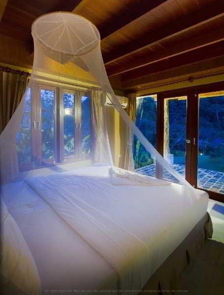 Cliff And River Jungle Hotel 3*