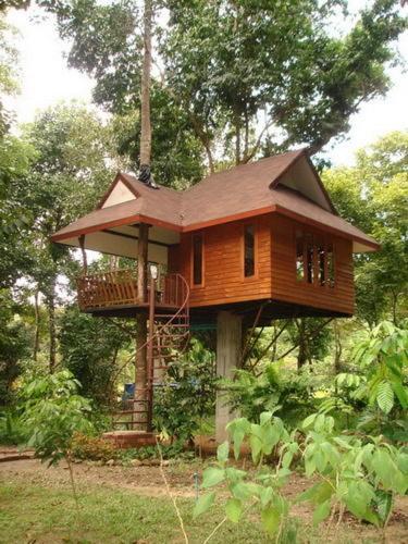 Baan Khao Sok Holiday park *