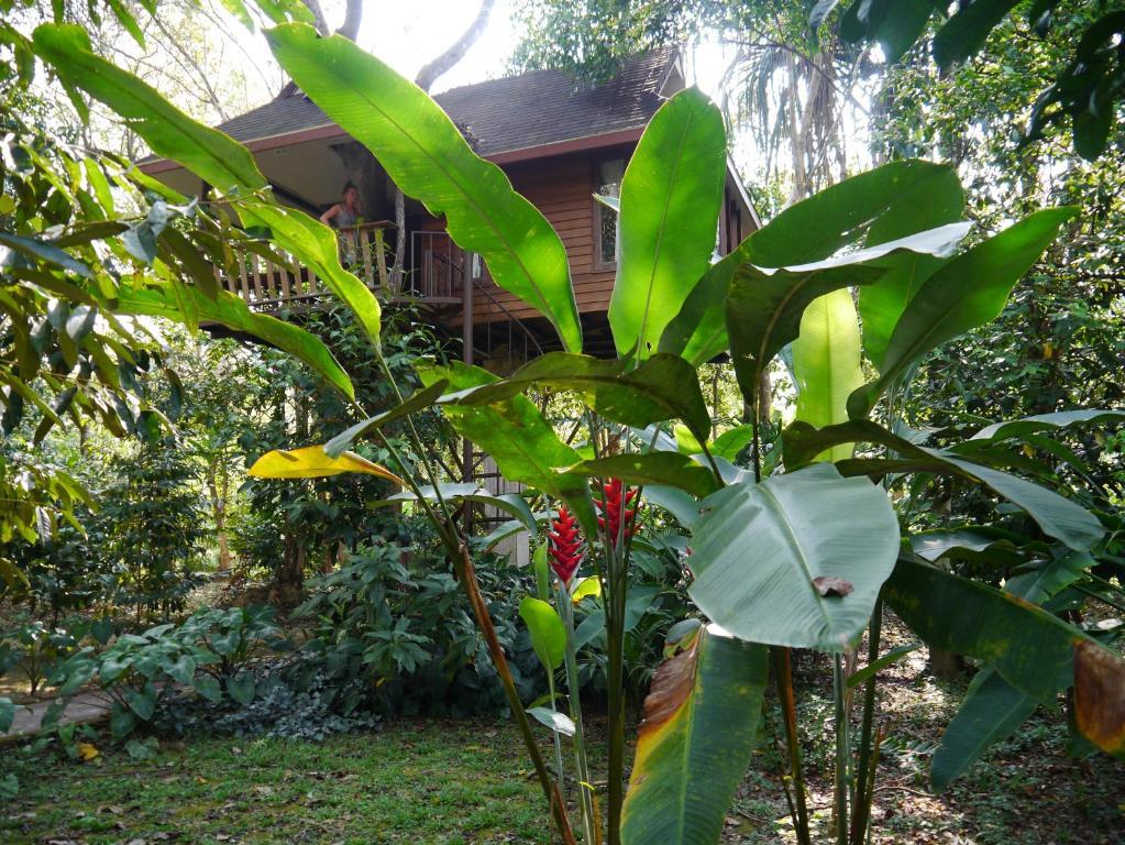 Baan Khao Sok Khao Sok National Park