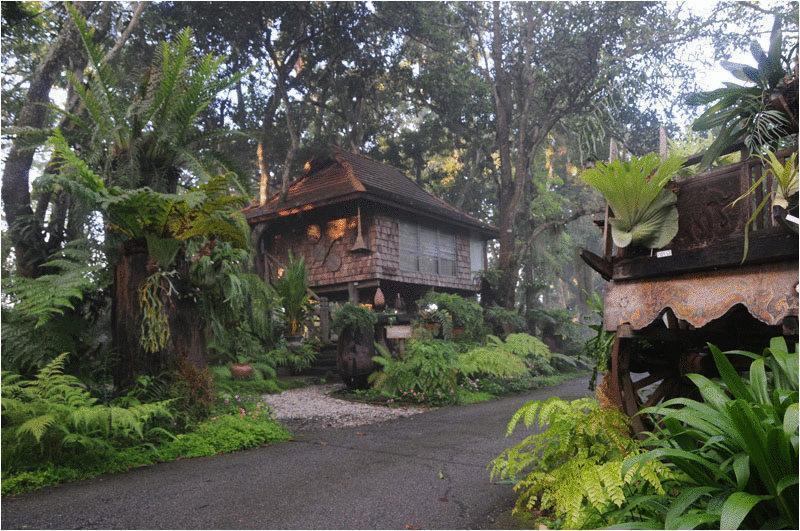 Resort Fern Paradise