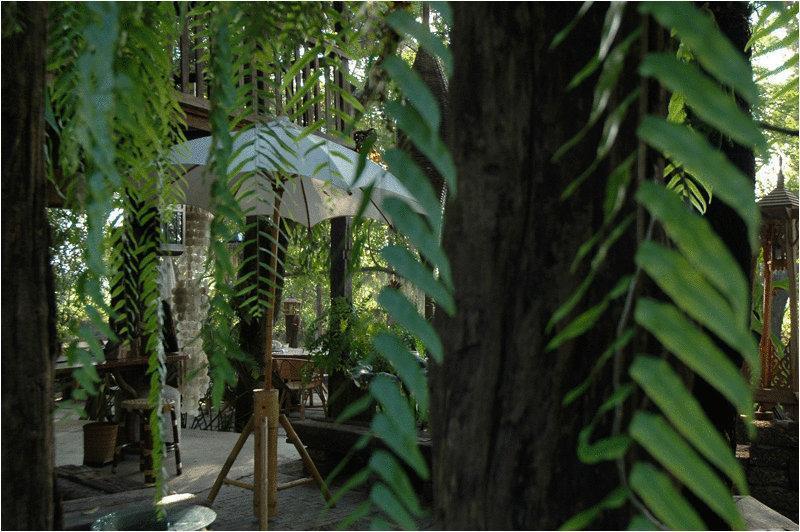 Resort Fern Paradise Chiang Mai
