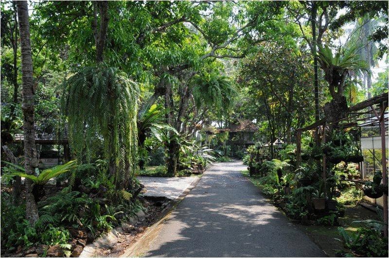 Resort Fern Paradise
