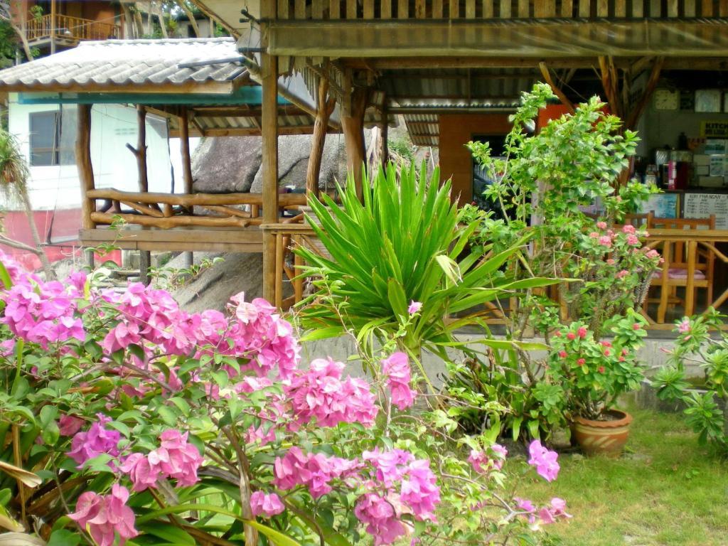Thong Yang Ko Pha Ngan